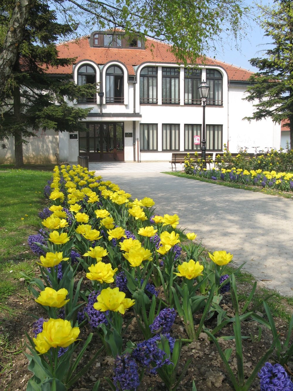 Koncert Povodom Dana Glazbene Skole Ferdo Livadic Događanja